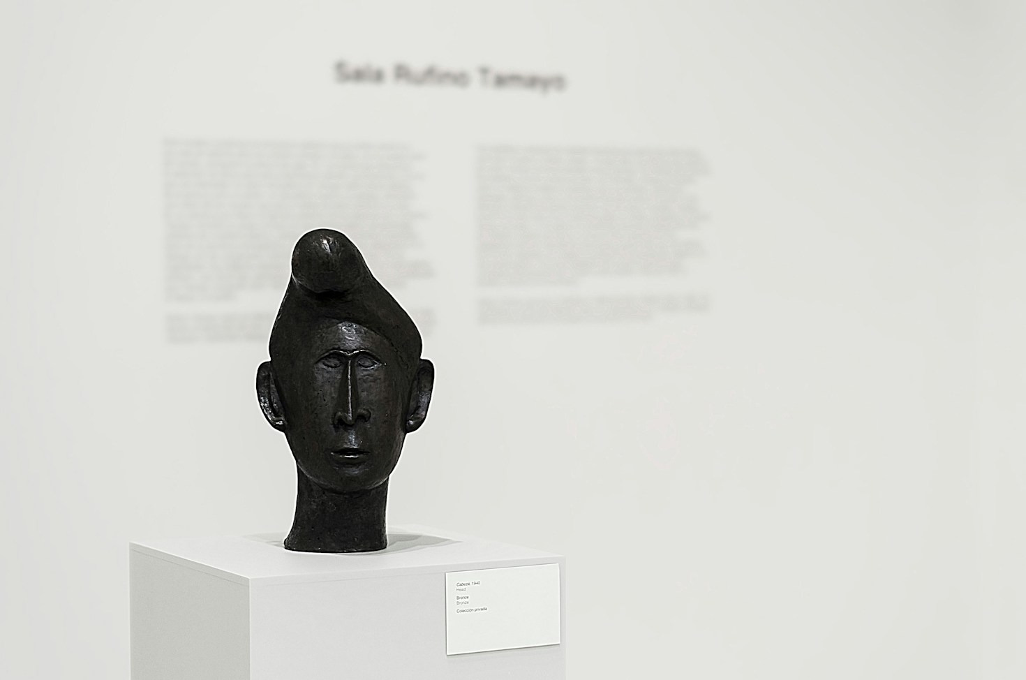 Kuratierte Schätze: Höhepunkte aus unserer aktuellen Galerie